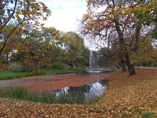 Zamek w Szamotułach